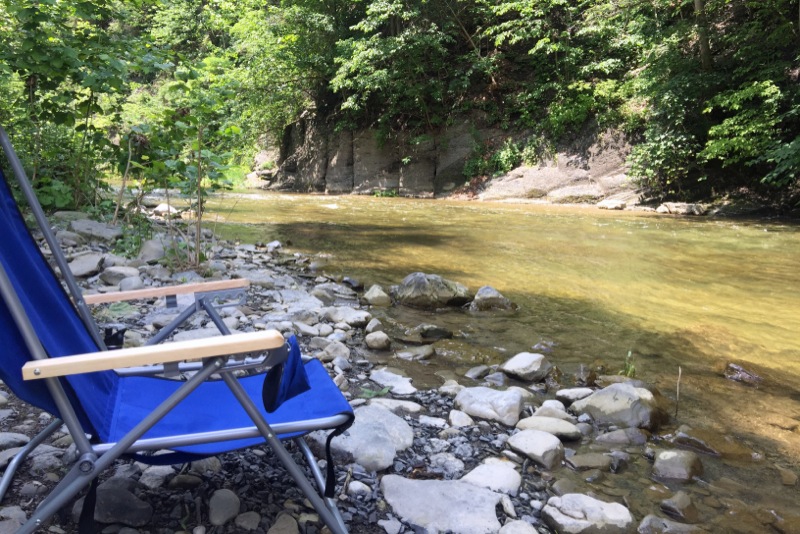 Life in the Slow Lane (The Pearl) June 28 Salmon Creek, Lansing, NY