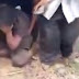 Dua Begal Beraksi di Manikrejo Satu Kabur Satu Tewas Dimassa