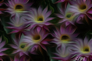 Blumen, flores, Flower, fleurs, květiny, Flores, blomme Fauna, Flora, Tiere, Vögel, Fische, Insekten, Blumen, Bäume, Berge, Meer, Ozean, Natur, Sonne, Mond, animals, birds, fish, insects, flowers, trees, mountains