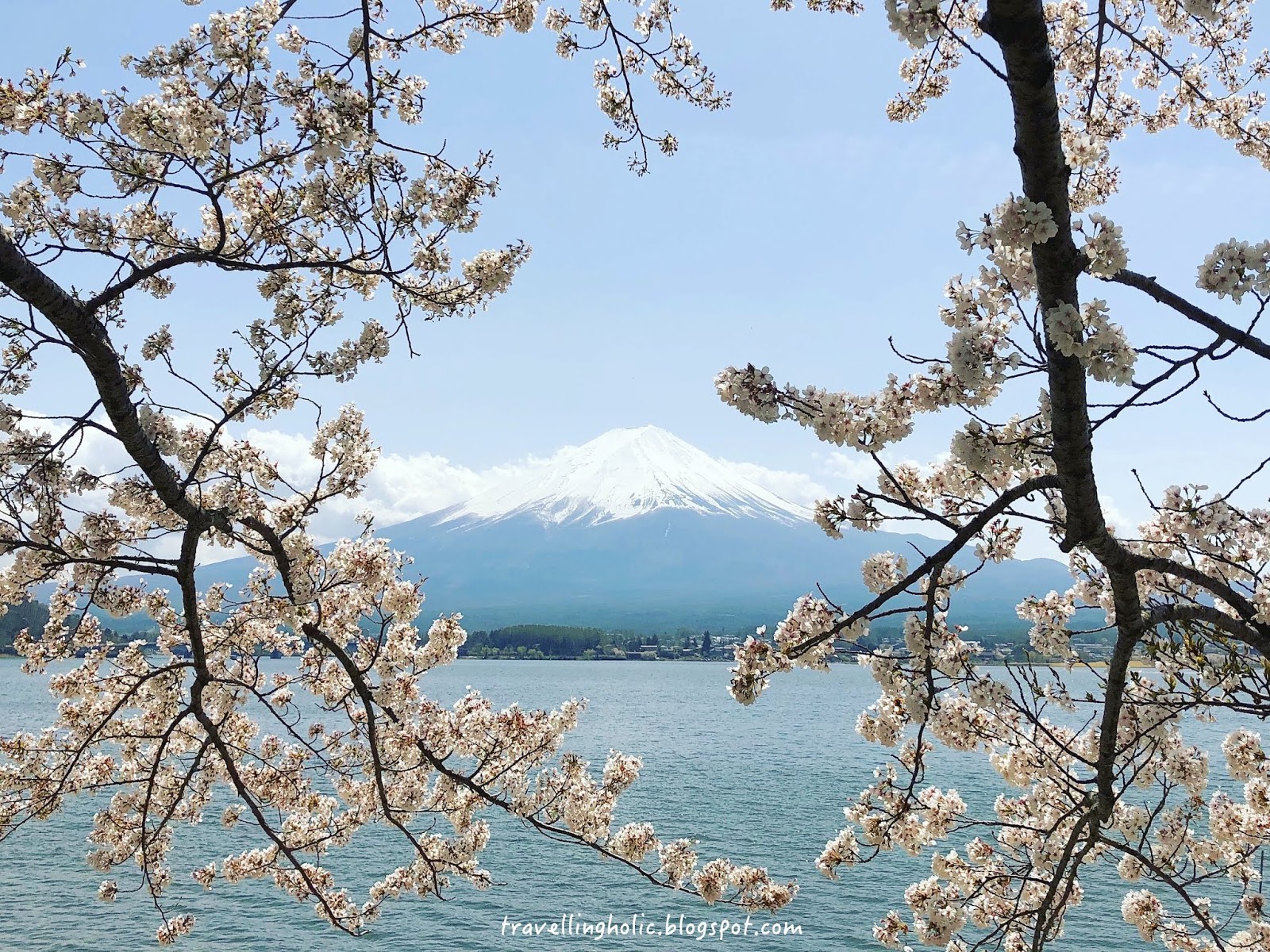 在盛开天空蔚蓝和Mt的樱花 从河口湖日本的富士 库存照片. 图片 包括有 蓝色, 背包, 包括, 湖边 - 145367152