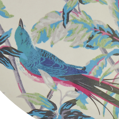 print & pattern NEW SEASON debenhams