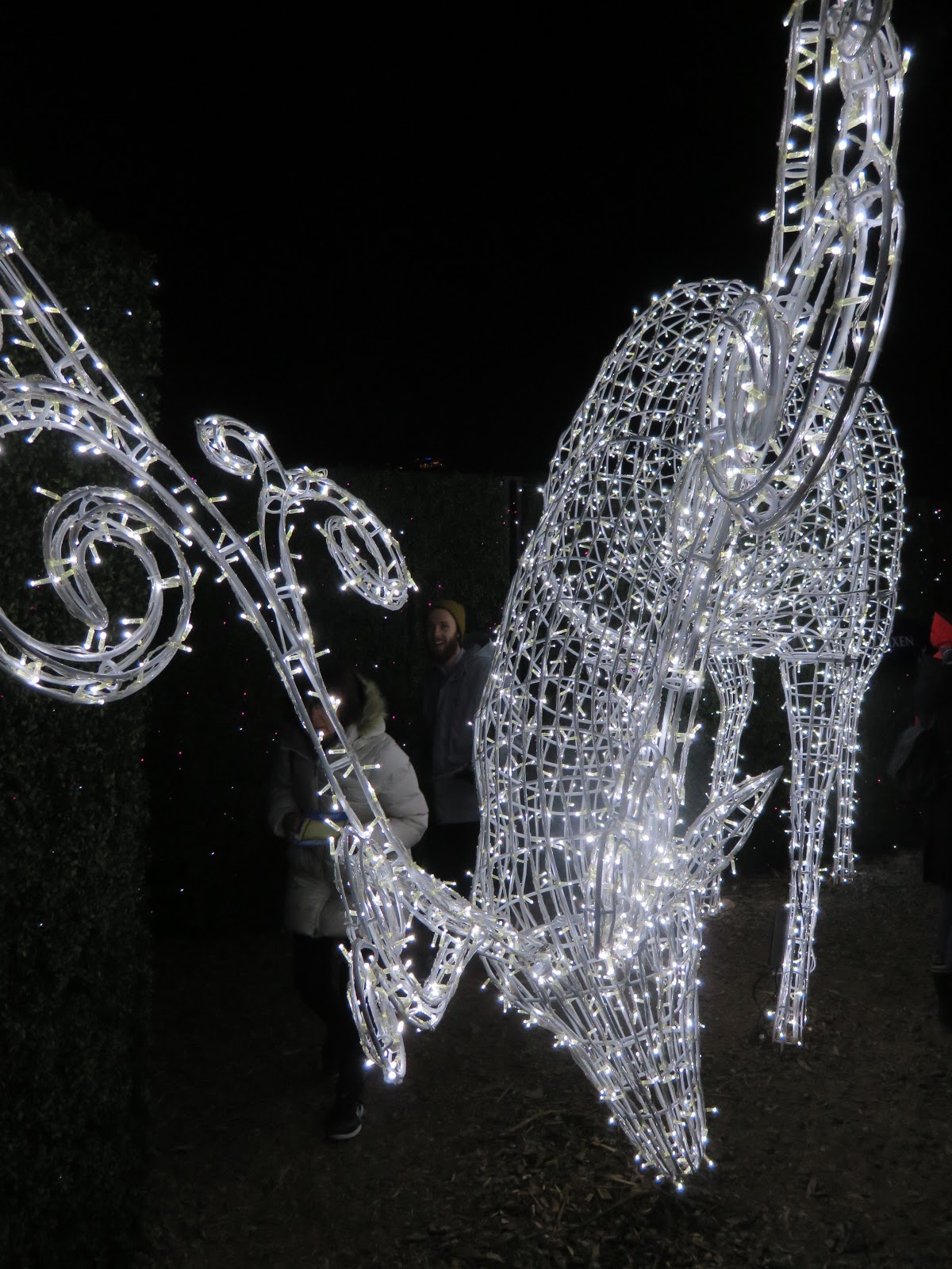 Enchant Christmas Light Maze and Market Vancouver, Canada chichicho