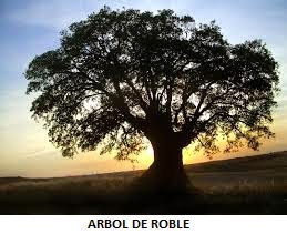 http://www.comocurarlashemorroidesdeformanatural.com/