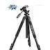 Tripode Beston ref 6663A