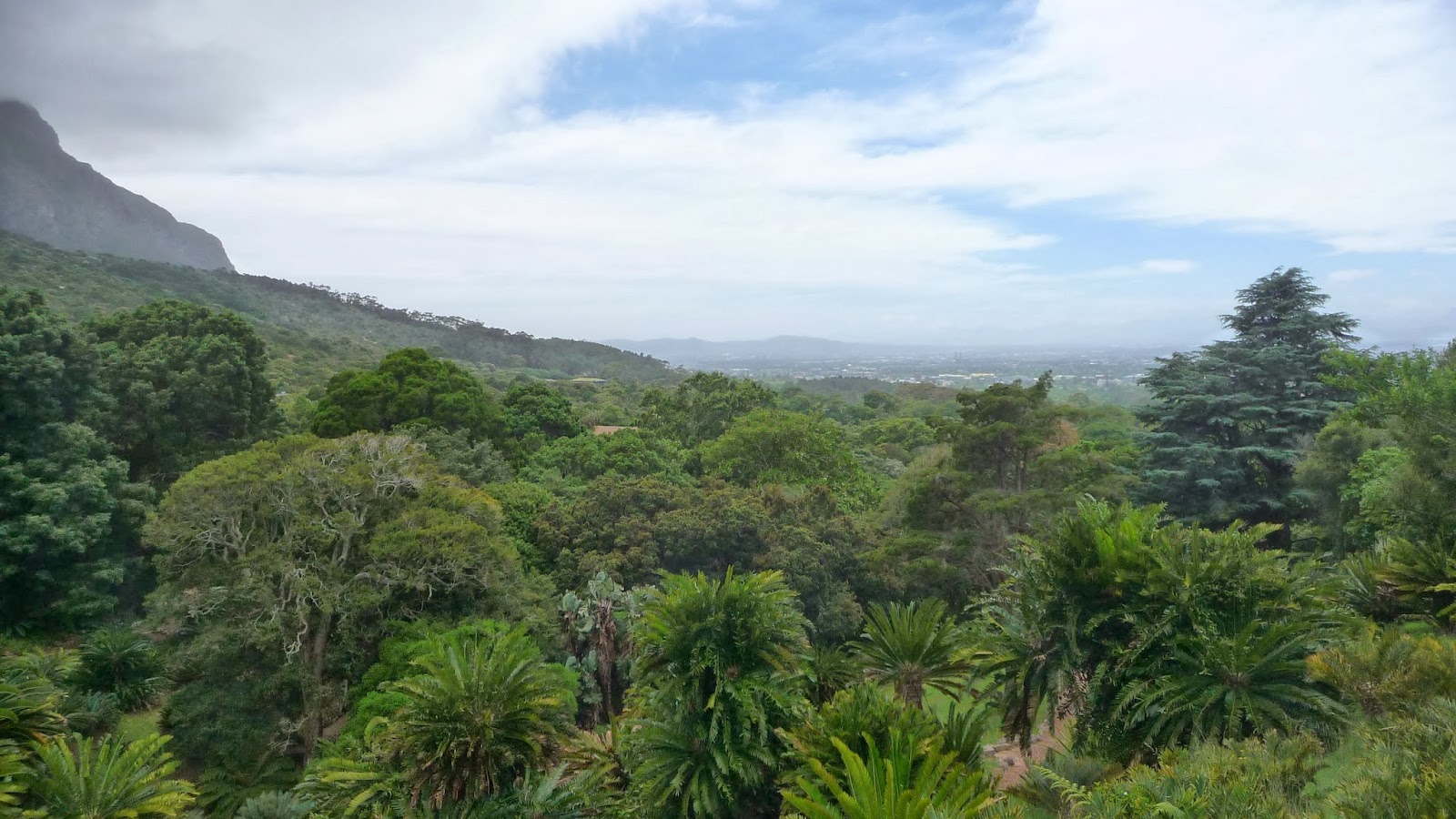 Cape Town et l'Afrique du Sud Le plus beau jardin d'Afrique