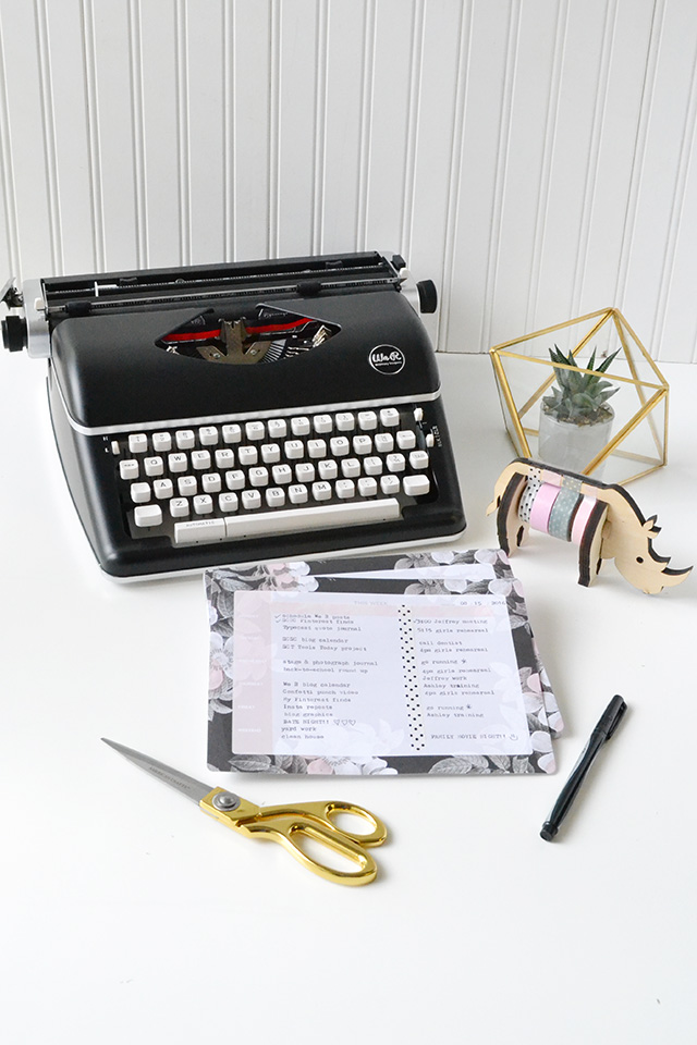 Aly Dosdall typecast typewriter and paper collection