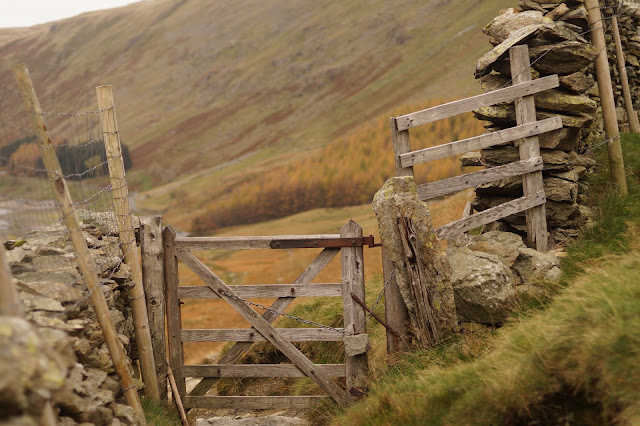 Haweswater Lake District in Autumn