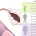 WHAT IS THE NORMAL BLOOD PRESSURE FOR YOUR AGE?