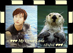 ~~My Otter Love~~