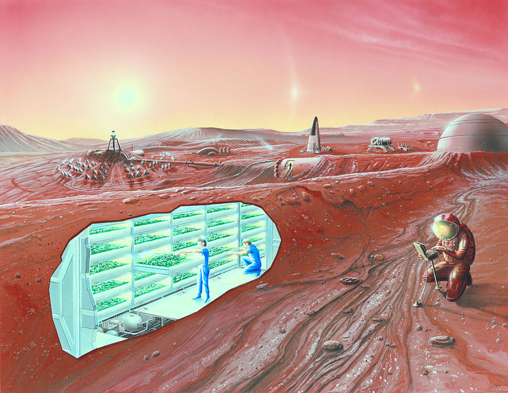 Space to grow? Neurological risks of moving to Mars