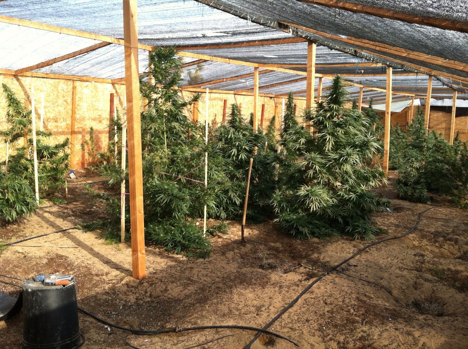 Property Land With Greenhouse California Property Land With Greenhouse California