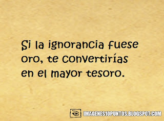 frases para insultar frases para insultar