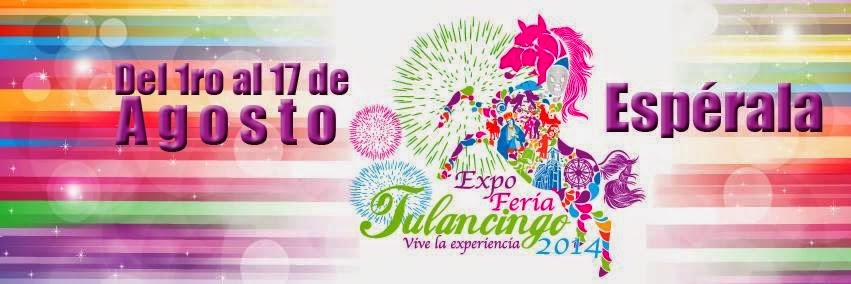Expo Feria Tulancingo 2014