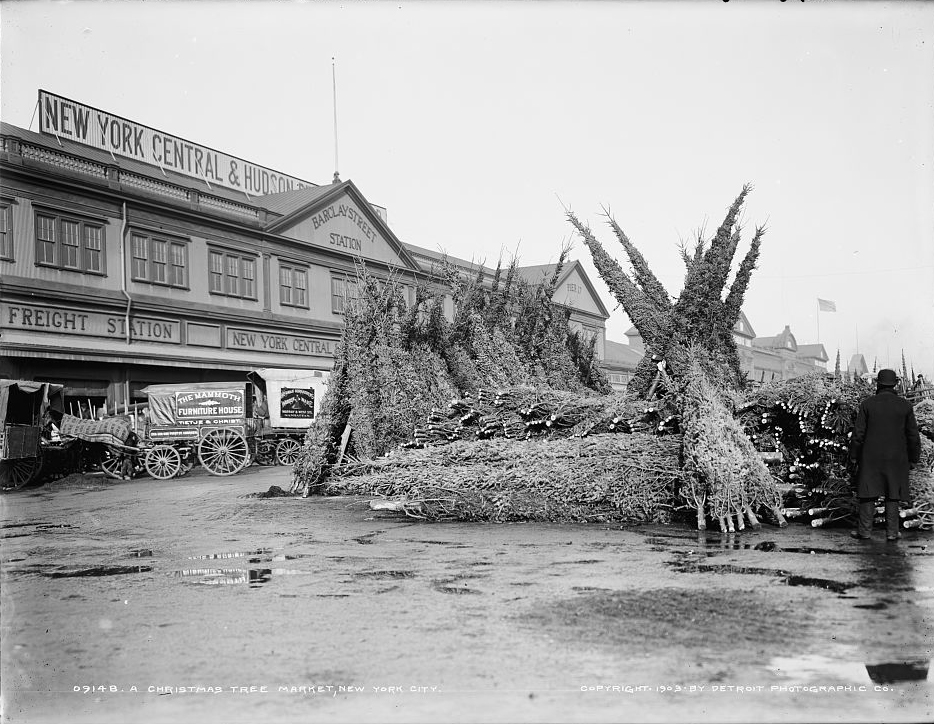 Mark Carr, the First New York City Christmas Tree Seller, And the