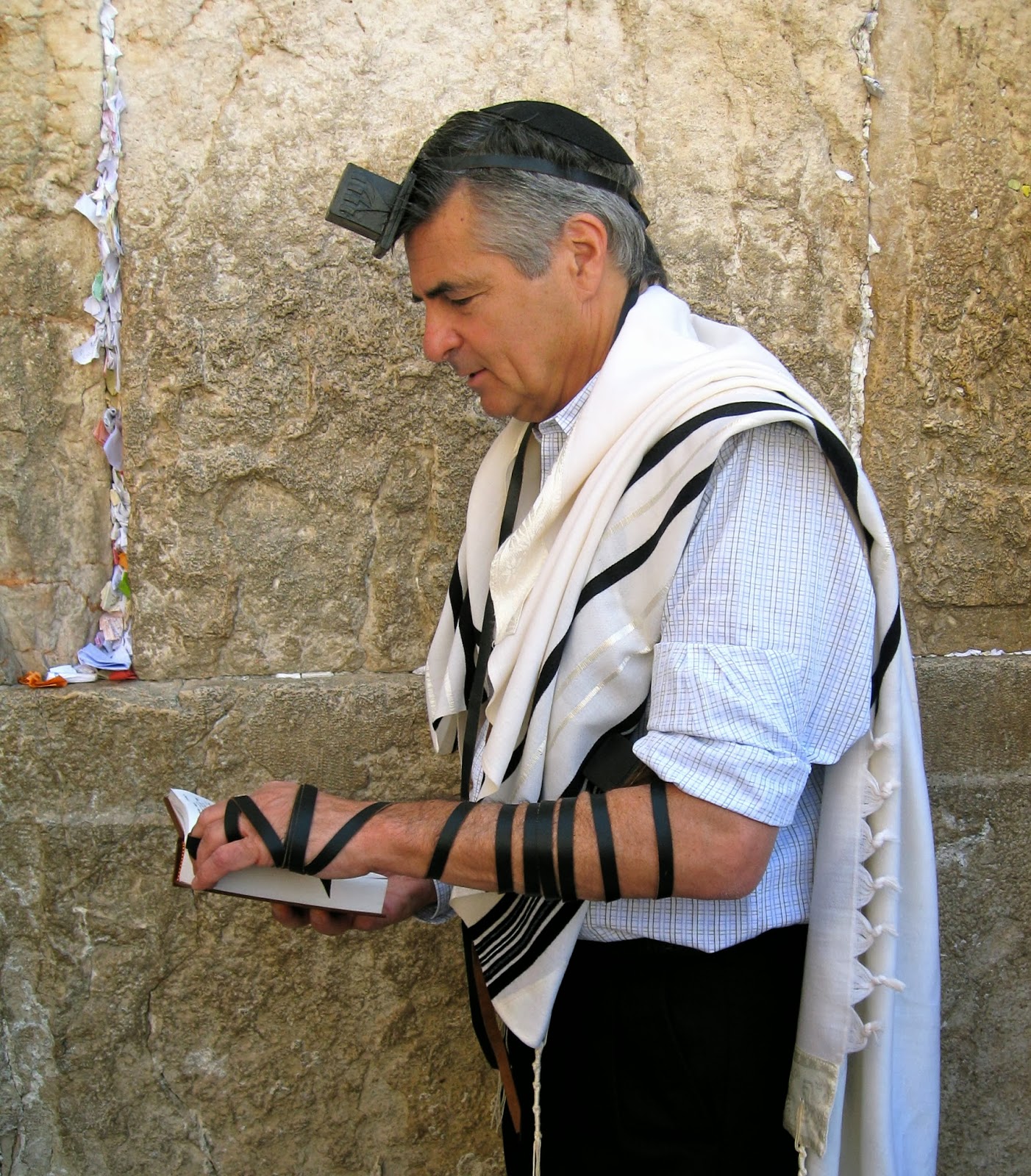 Hell In The Hallways hell-in-the-hallways