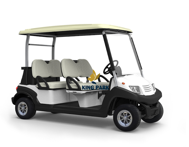 Chợ ôtô: Những tiêu chuẩn của khách hàng khi mua xe điện sân golf Xe-dien-san-golf-2