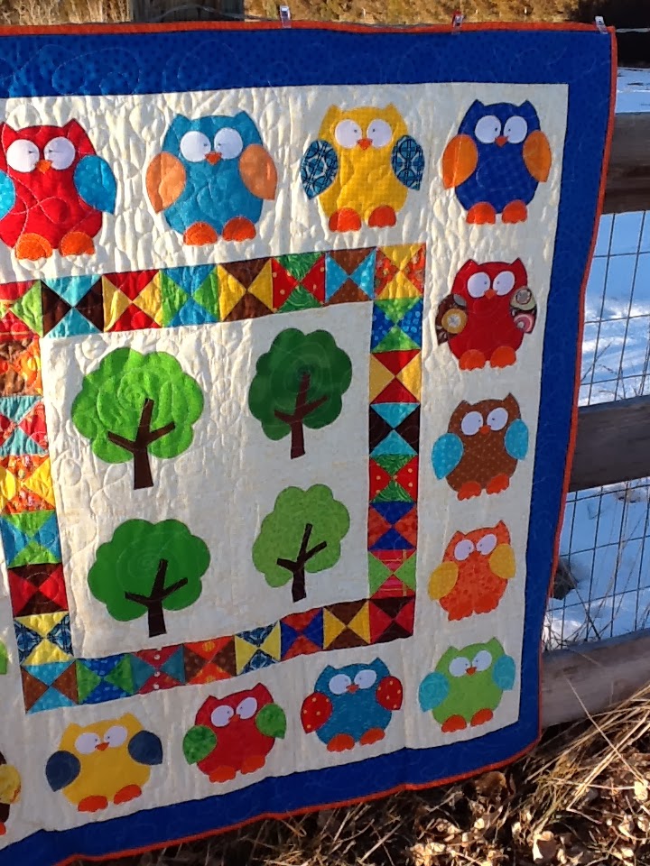 Tanya Quilts in CO Owl Baby Quilt Finish
