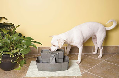 Catit Multi Cat Feeder Reviews Catit Multi Cat Feeder Reviews