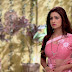 Chhavi Pandey Very Hot Sexy Navel Show in Transparent Saree