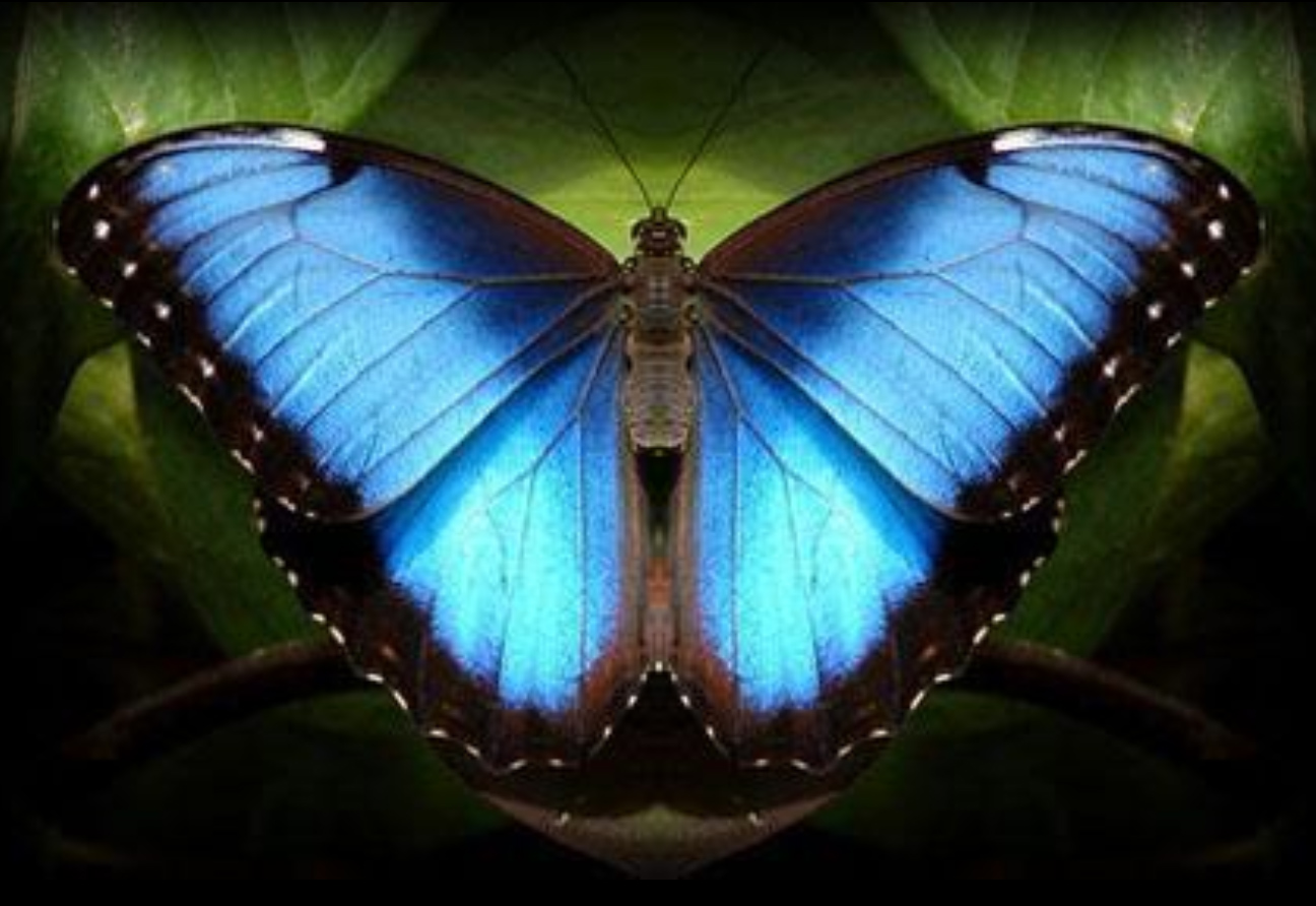 Dibujo Técnico 1º Bach. MOVIMIENTOS EN