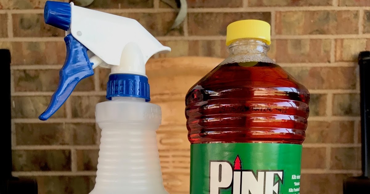 Clover House Home Remedy for Outdoor Fly Repellent