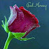 Good Morning images Good Morning images