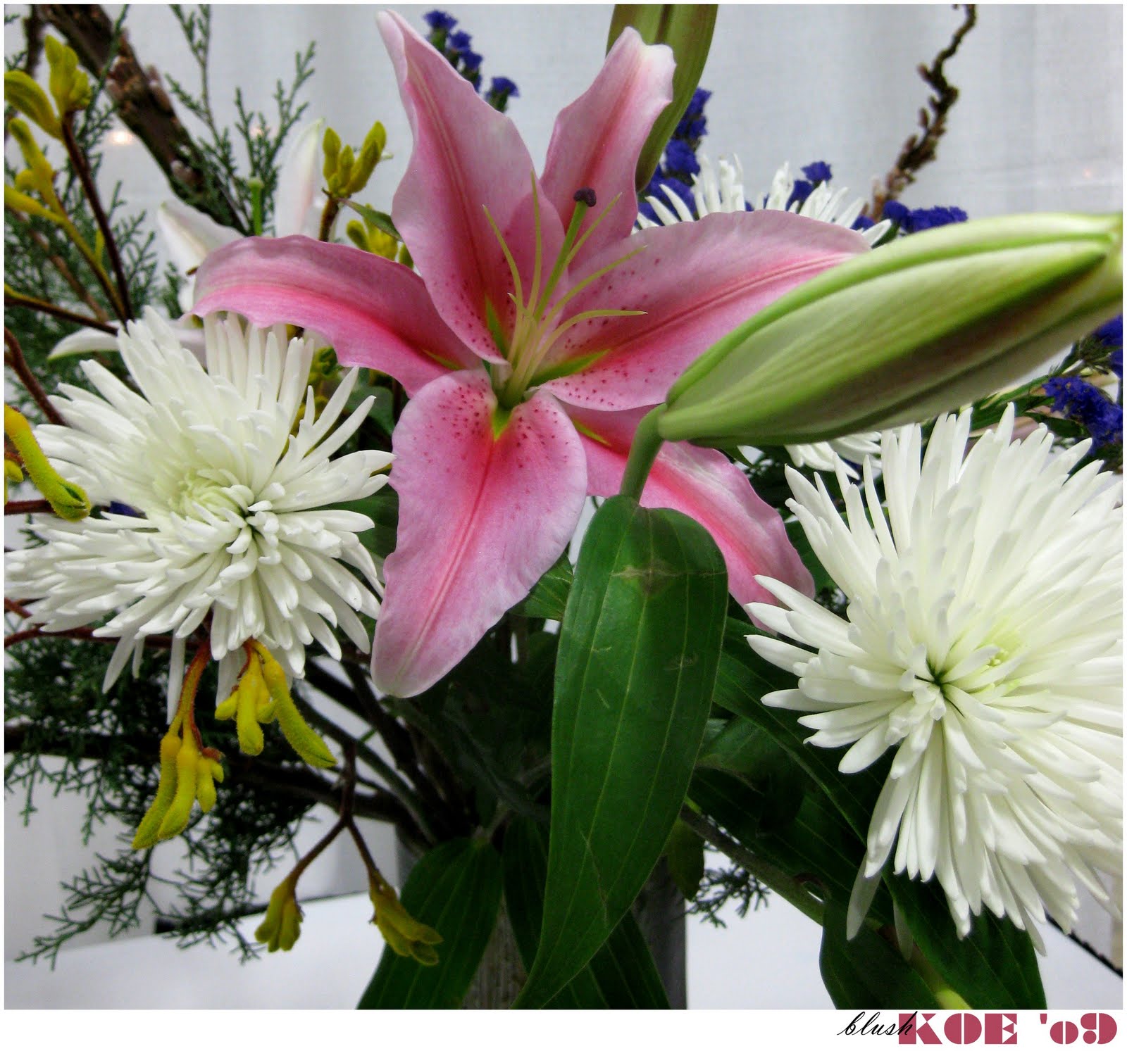 SIDE STREETS The 9th Annual New Jersey Flower and Garden Show