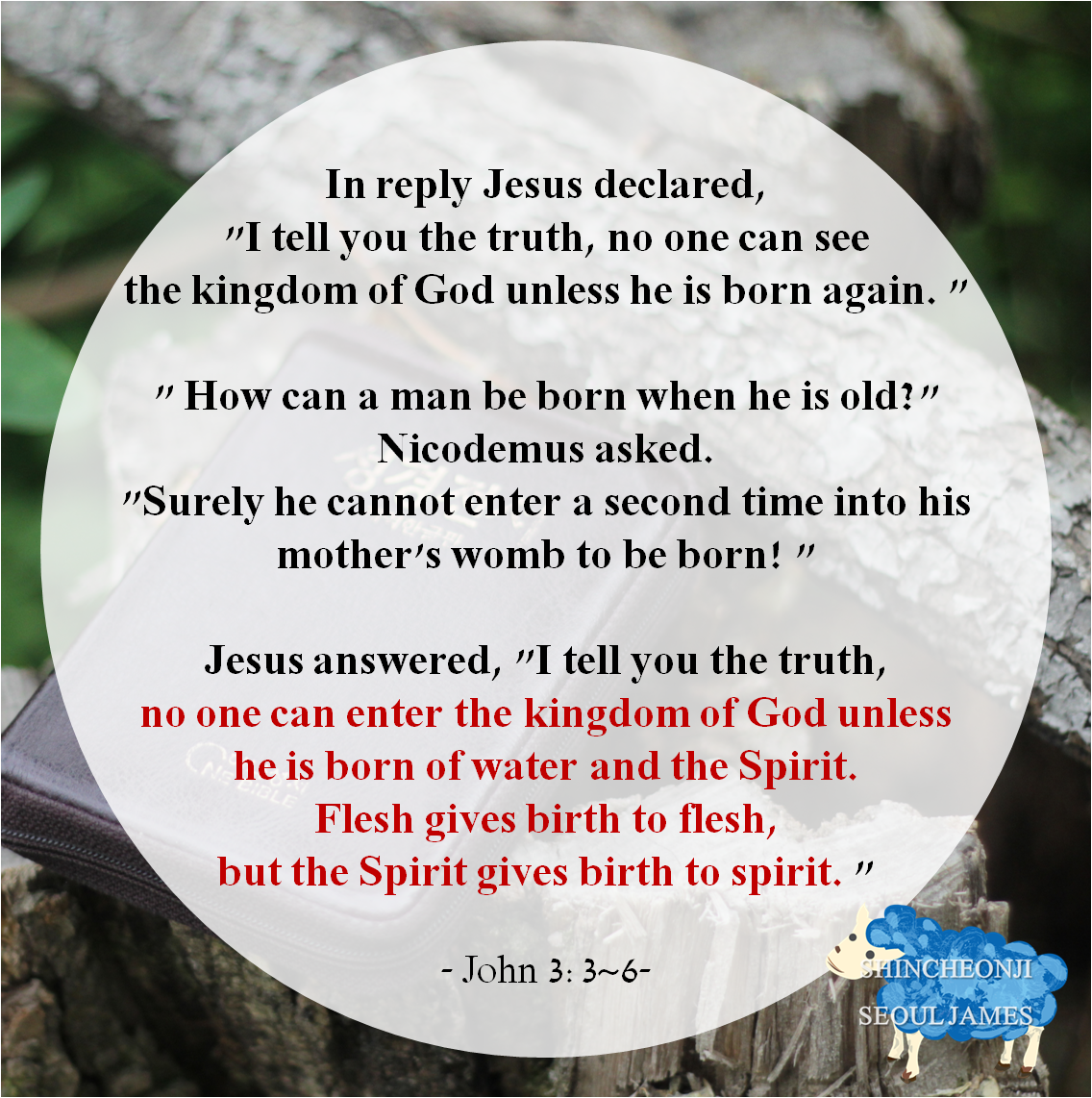 See the source image