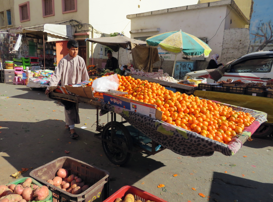 Сезон мандаринов в Марокко