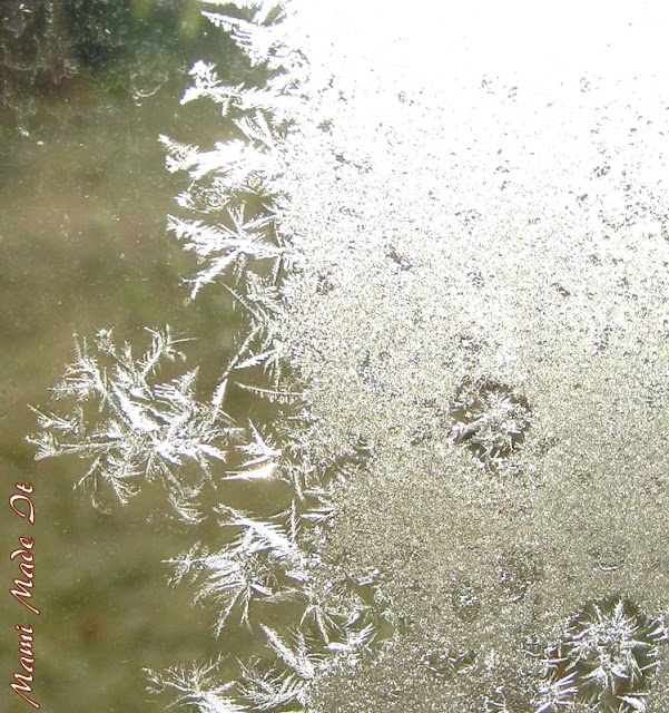 Frost Flowers - Eisblumen