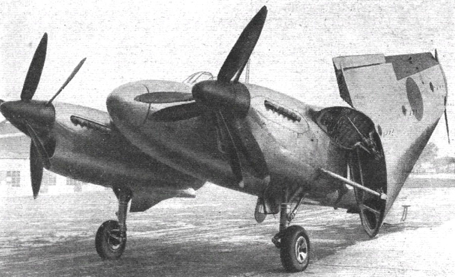 nhungdoicanh Short Sturgeon