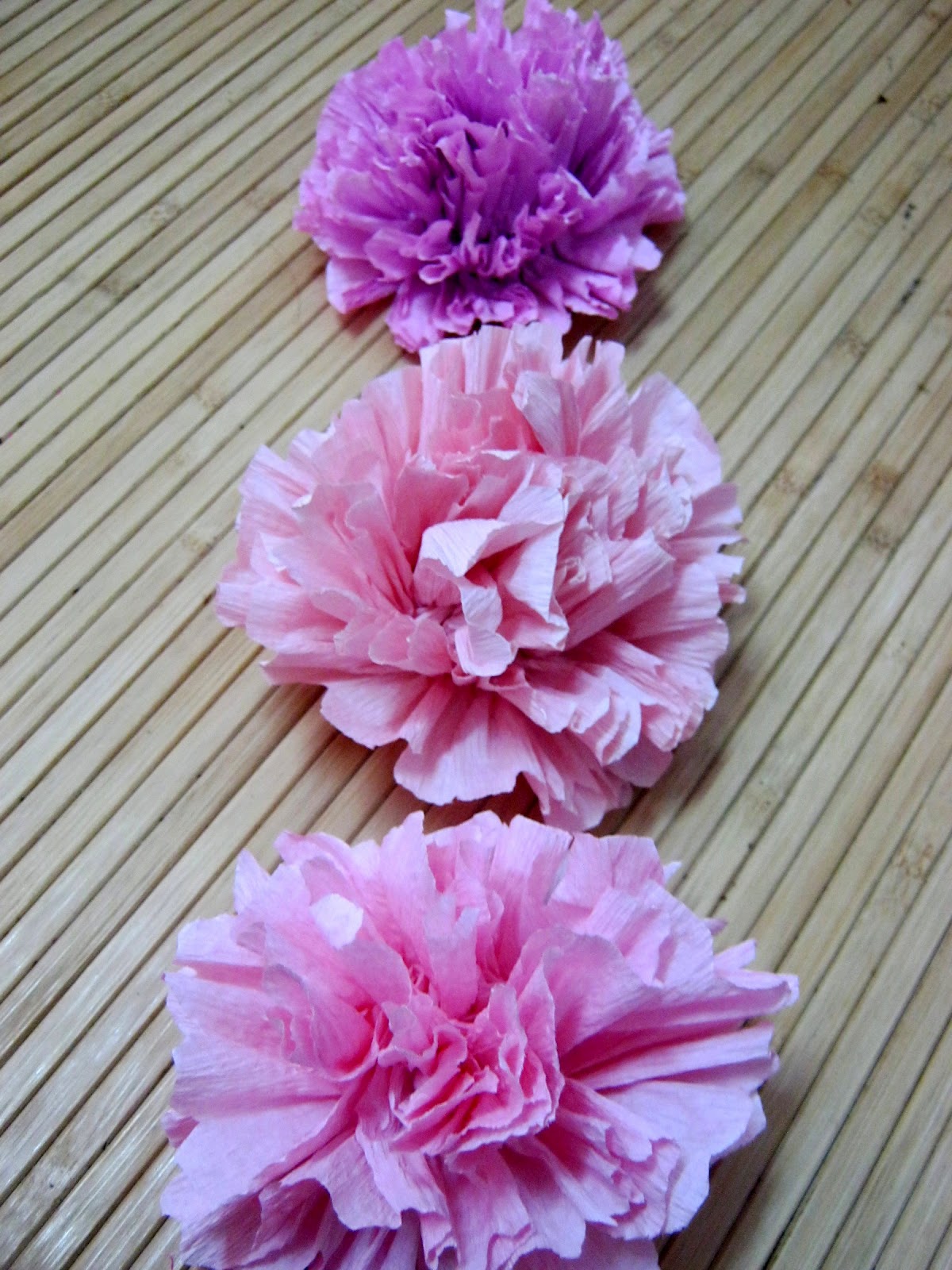 PetakBunga Berblog Bunga  Carnation Pink 