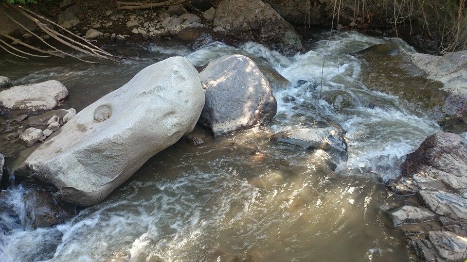 Santuario del Estero Camping en el Cajón del Maipo