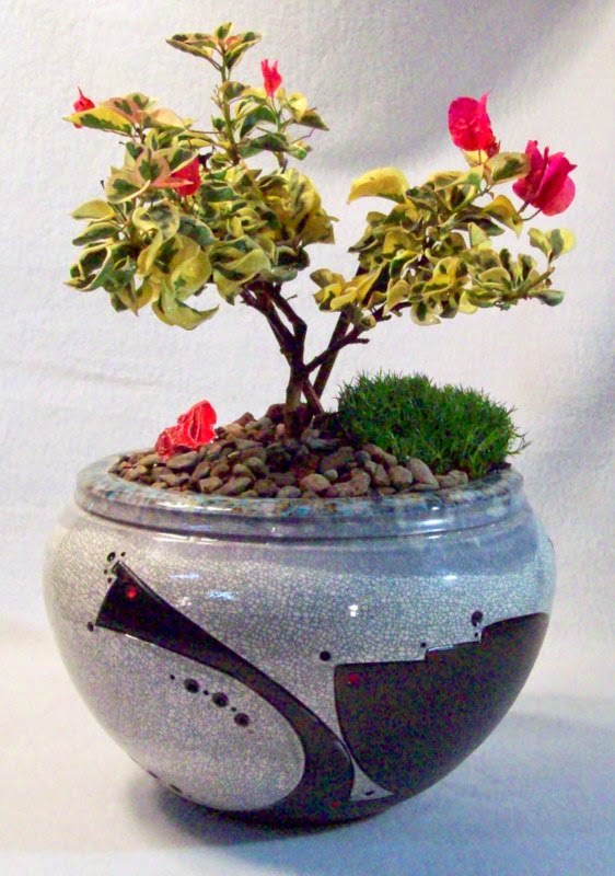 Handmade Ceramic Bonsai Pots  by Matthew Kennedy