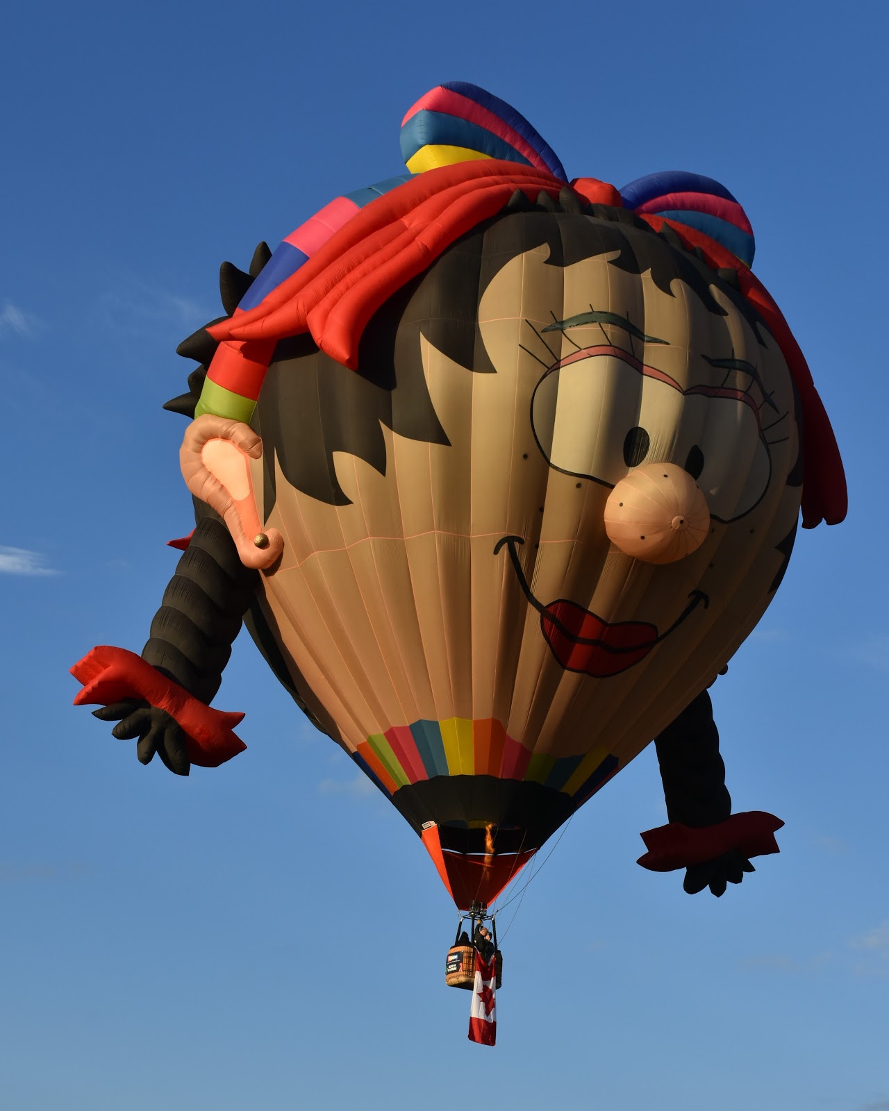 Tauranga Spotter BALLOONS OVER WAIKATO