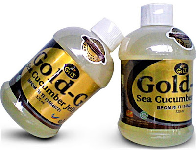 Harga Jelly Gamat Gold G Sea Cucumber Harga Jelly Gamat Gold G Sea Cucumber