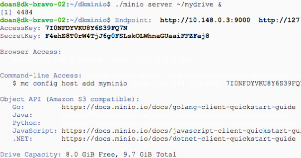 Minio nginx. Minio nginx