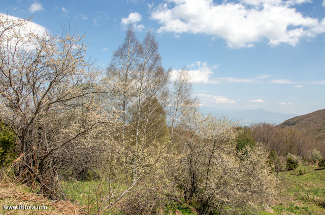 Neolica Hiking Trail, Bitola, Macedonia