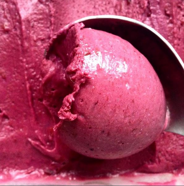 Real Fruit Ice Cream Recipe With Coconut Cream And Plum Black Doris Coconut Ice Cream