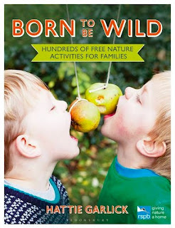 Born To Be Wild Book