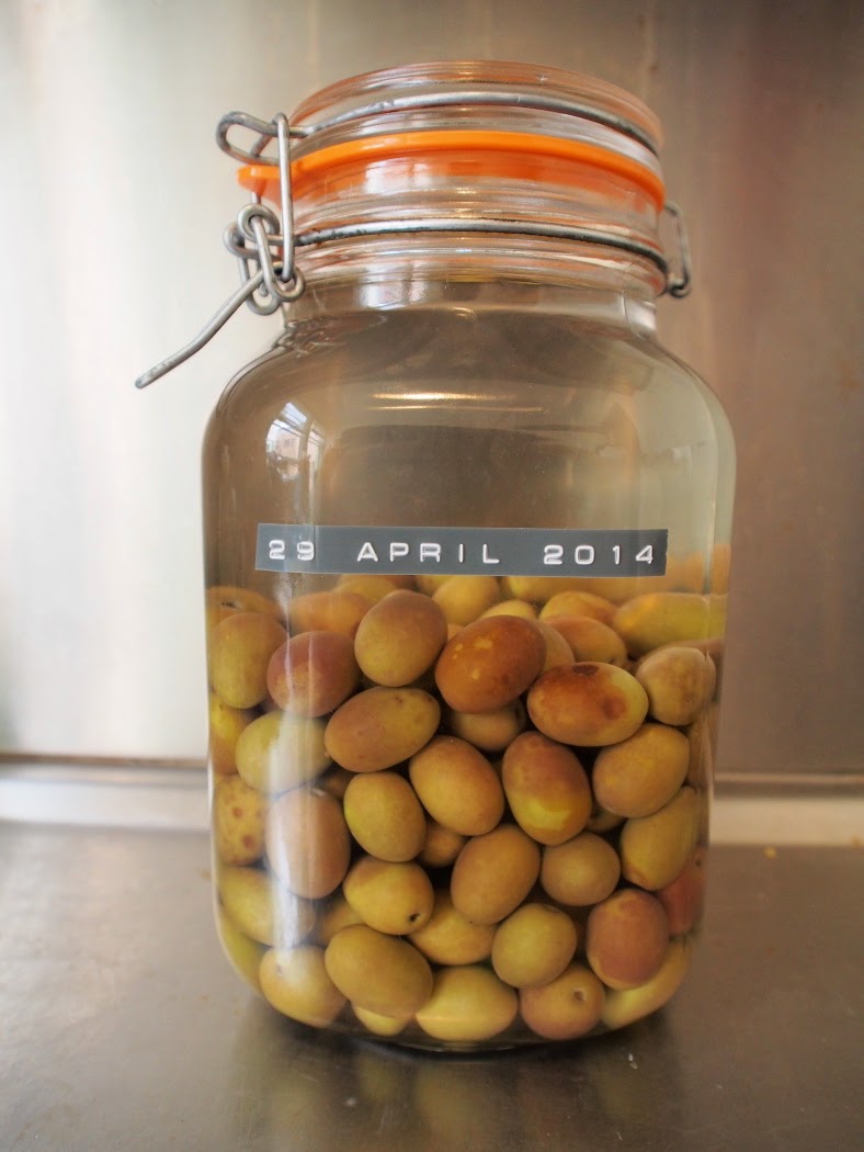 Jarhead Pickling Blog Olives The Curing and Preserving Process Stage 1