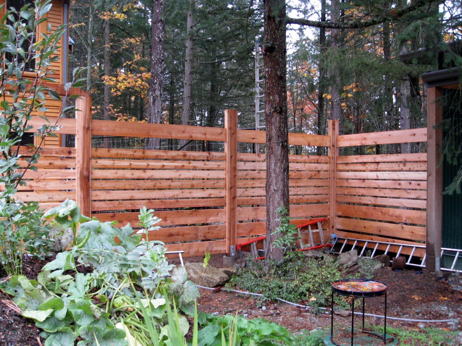 Lesley Turner Backyard Project 8 Foot High Deer Fence Essential for Productive Garden