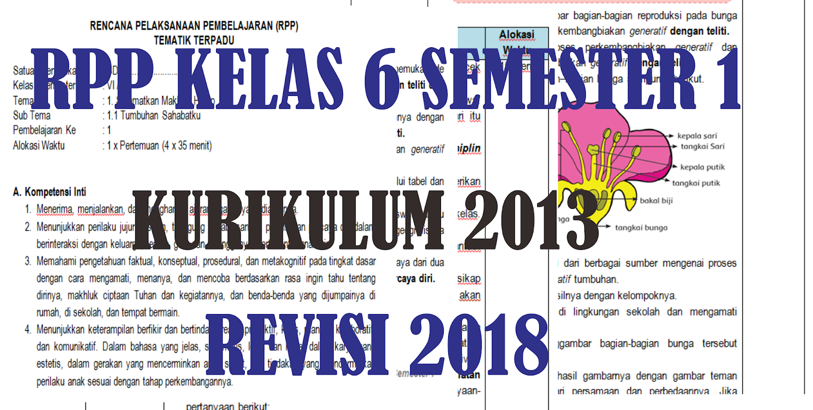 Contoh