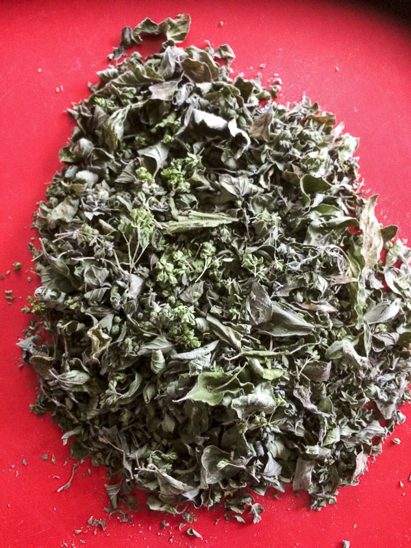oregano oregano