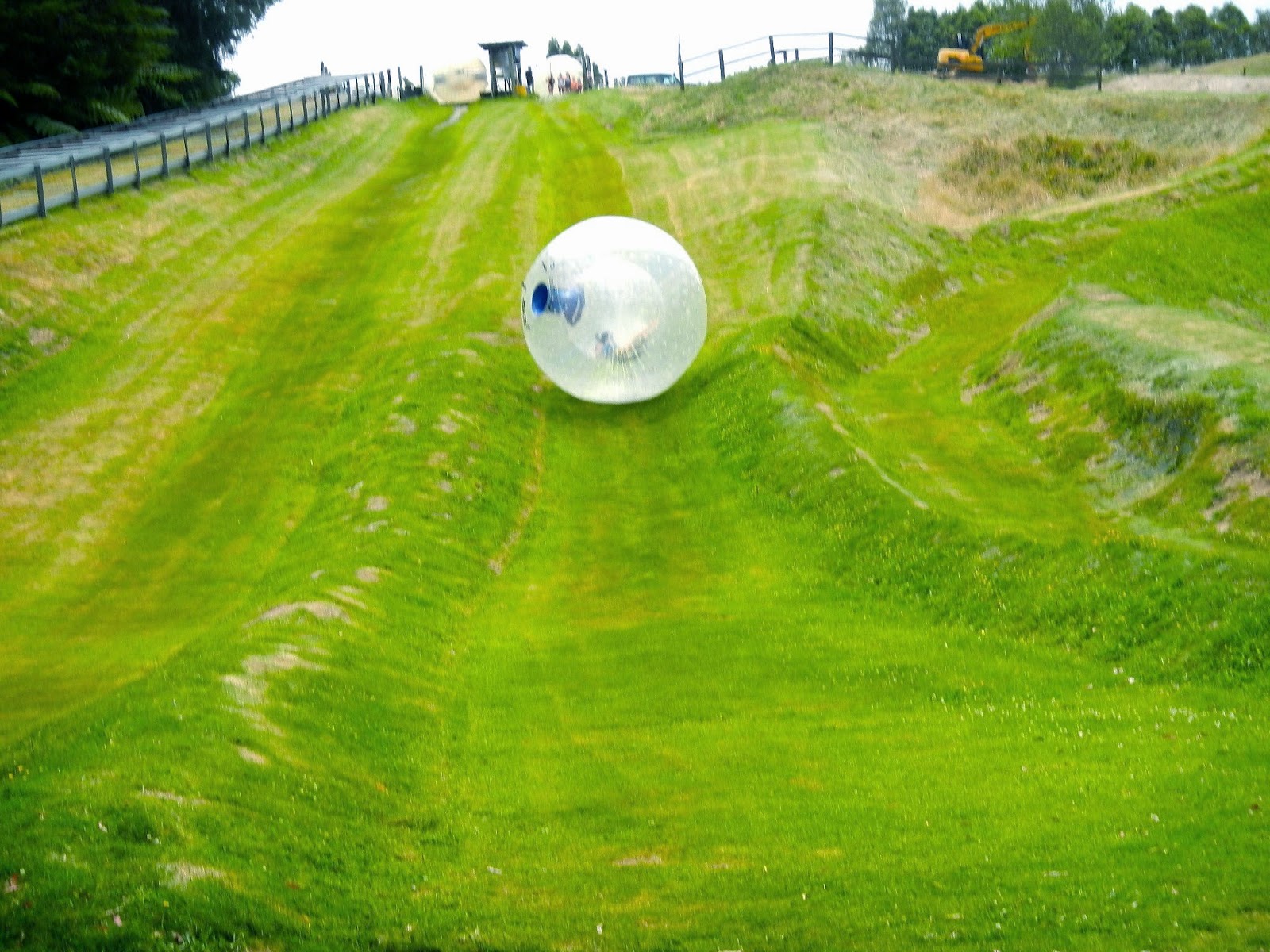 мяч для крокета. мой весёлый звонкий мяч иллюстрации. фон для детских игр. мяч на траве. прыгающие мячики.