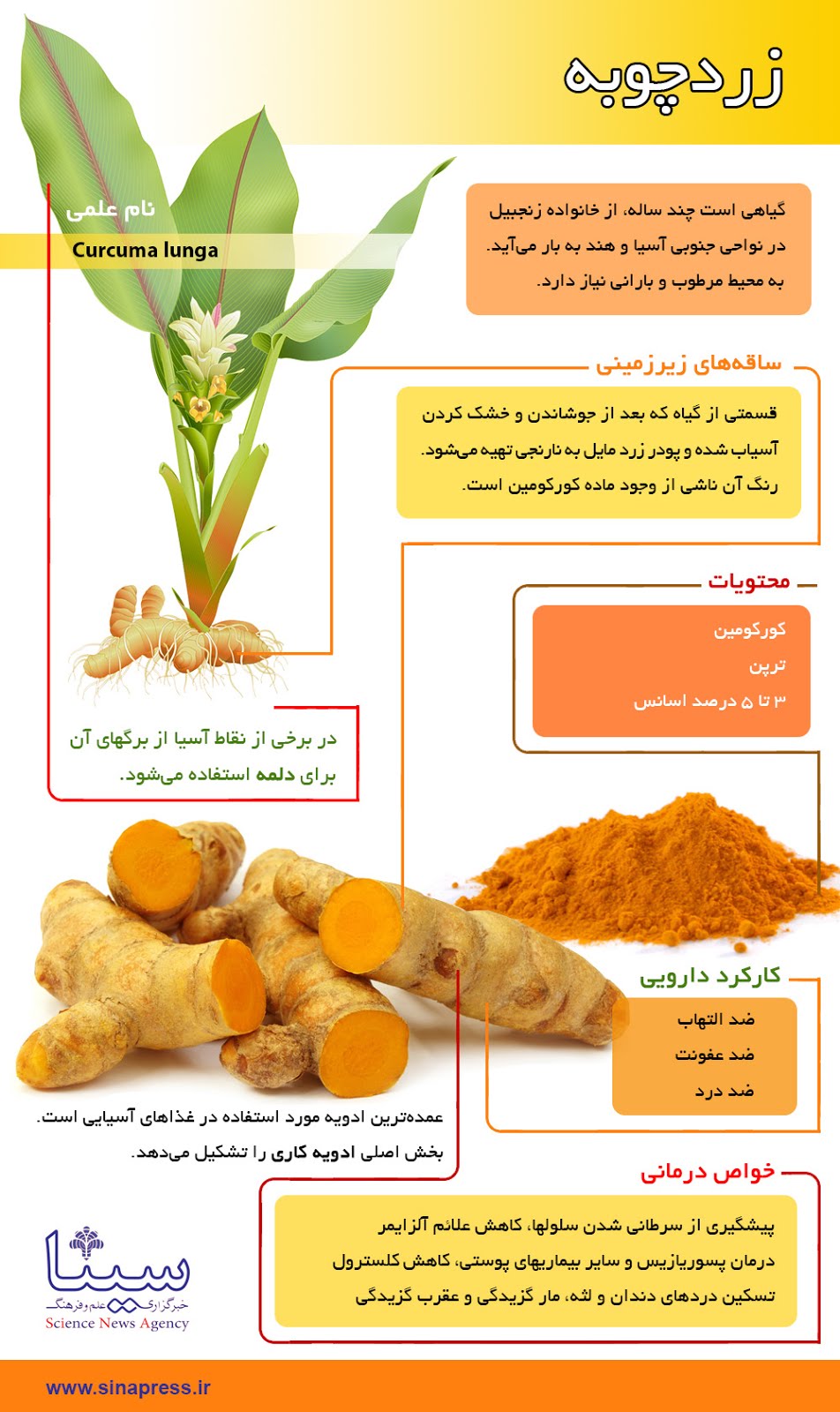 Pezeshke Bartar پزشک برتر Amazing Turmeric Properties