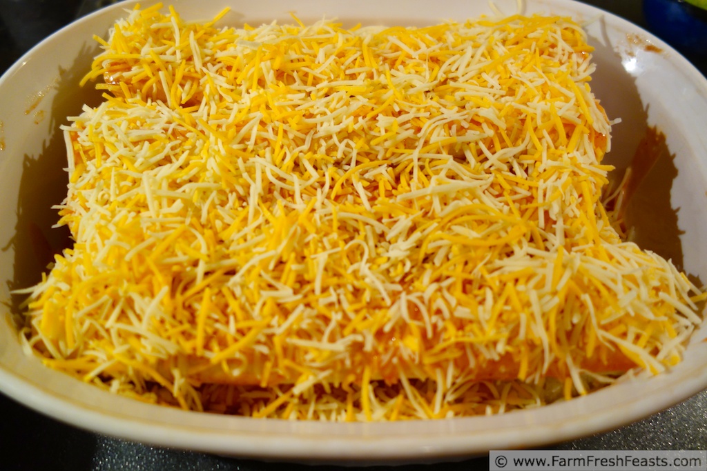 Farm Fresh Feasts ZucchiniRefried BeanCorn Enchiladas (cooking from