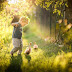 25 fotos absolutamente incríveis do Flickr