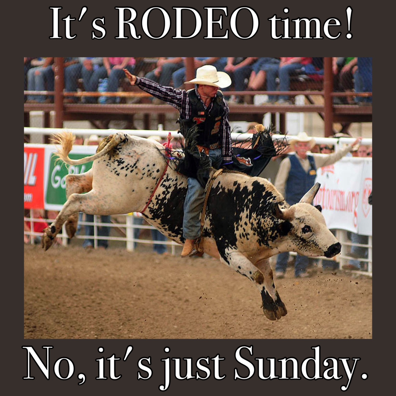 The rodeo is a really exciting event
