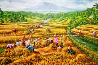 Panen Kacang Hijau Hitam di Malaka: Terobosan Agroteknologi untuk Gizi dan Ekonomi